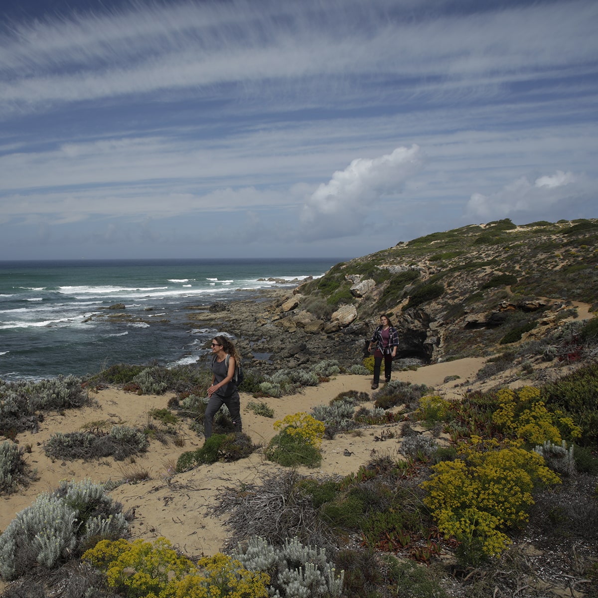 visitar costa vicentina