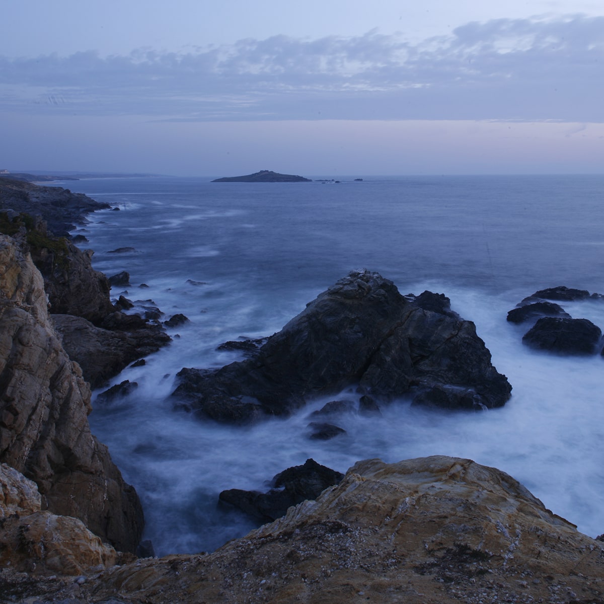 observação de vida marinha costa alentejana