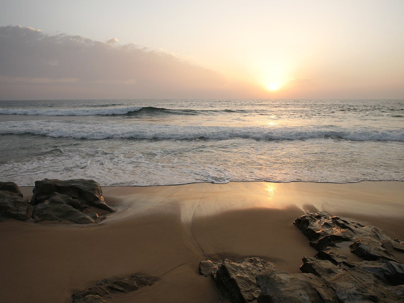 A Vida Marinha da Costa Vicentina