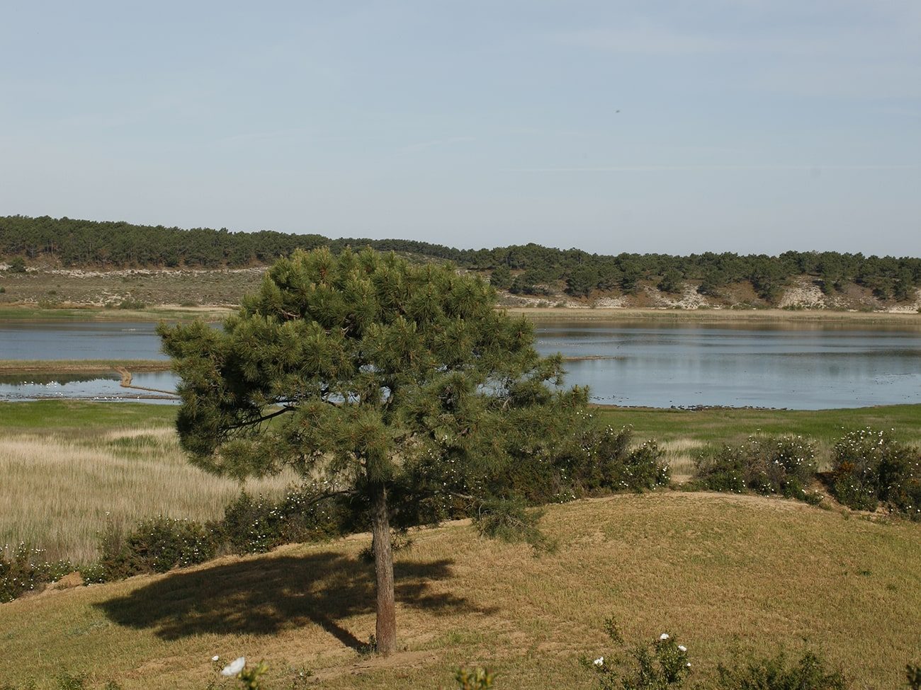 guia para explorar a costa vicentina