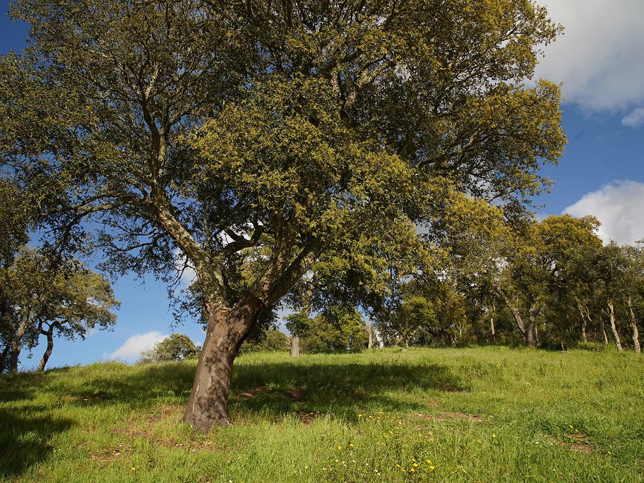 turismo rural na costa vicentina